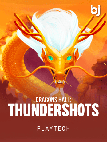 Dragons Hall: Thundershots screenshot